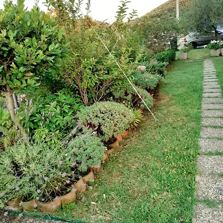 Rezek Supetarska Draga