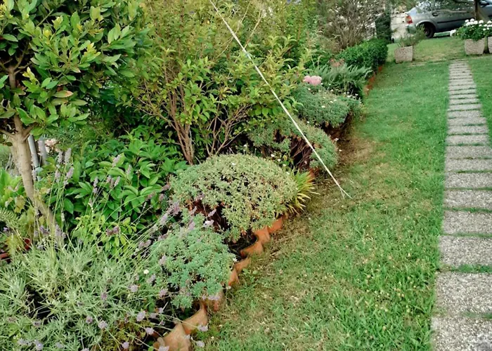 Rezek Supetarska Draga